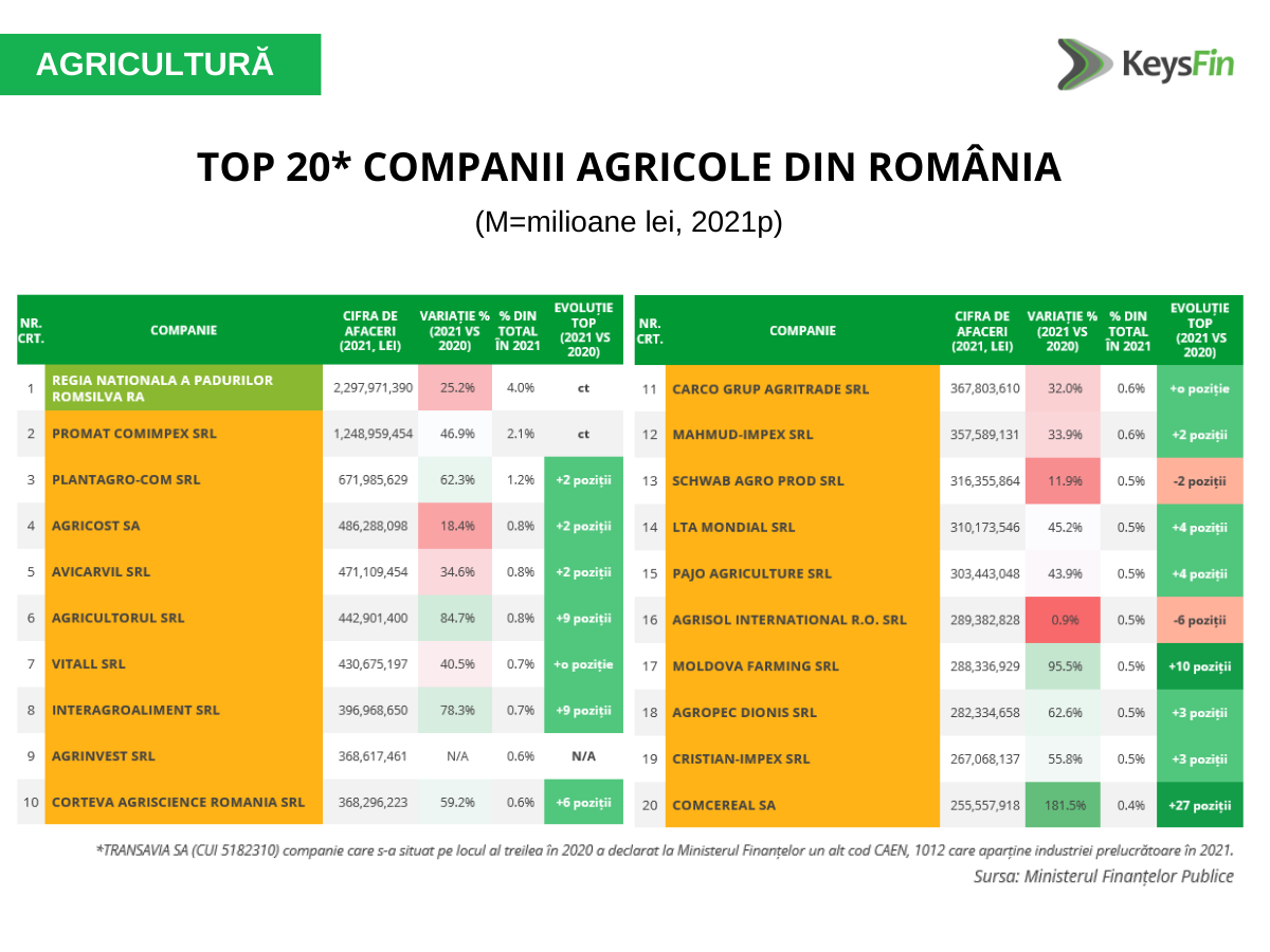 Top 20 companii agricole - studiu sector agricol KeysFin